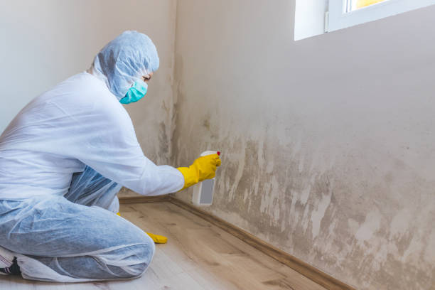 Licensed Crawl Space Mold Removal service in California, PA - WQB Mold Removal