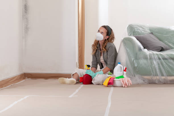 Reliable Crawl Space Mold Removal contractor in California, PA by WQB Mold Removal